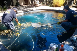 two-men-are-cleaning-pool-with-net-hose